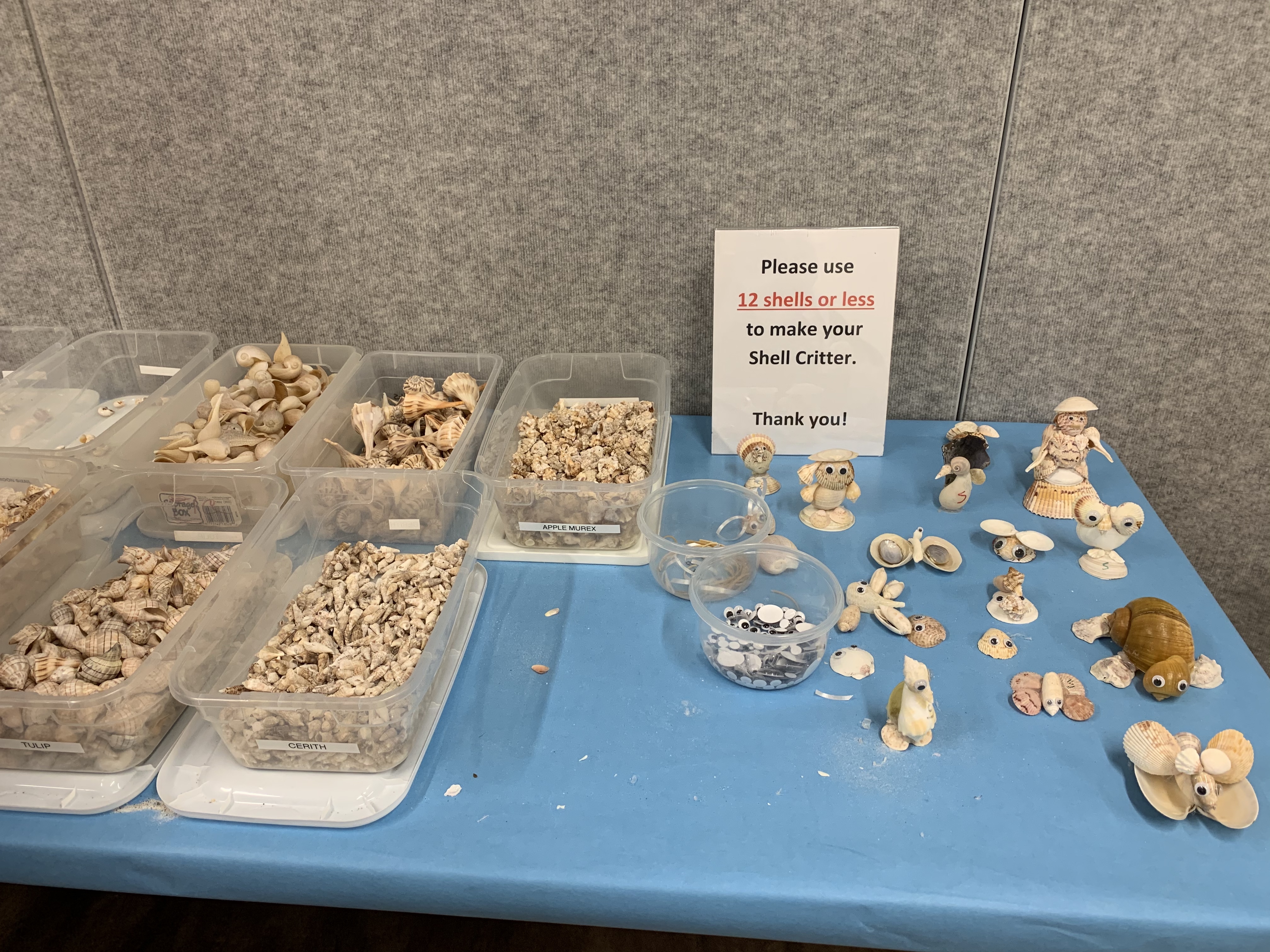 The Bailey-Matthews National Shell Museum